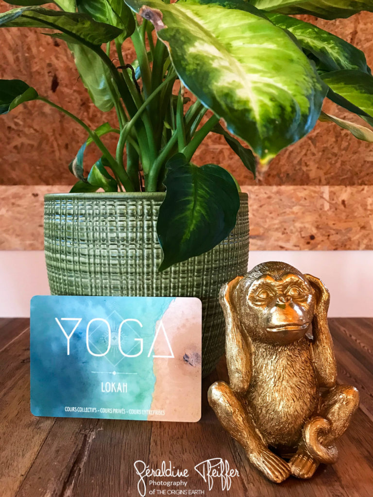 Yoga Lokah and visit card and monkey
