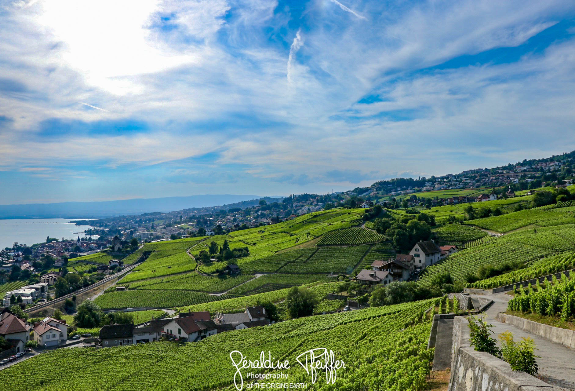 Travels - view over Lavaux in Switzerland